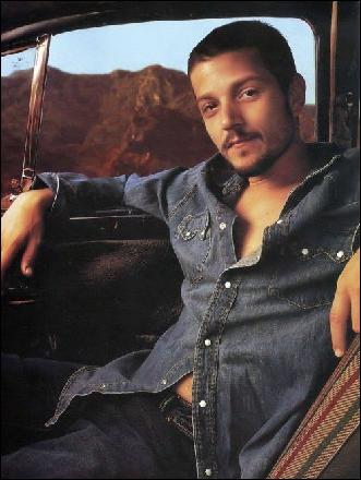 diego-luna095 (500x665, 76 kБ...)