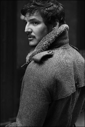 pedro_pascal044 (500x750, 85 kБ...)